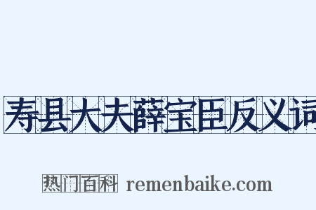 寿县大夫薛宝臣反义词是什么意思的图片